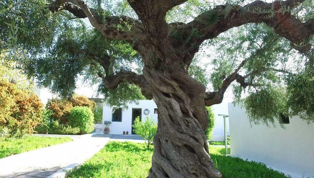 Niriides Villas Szeliníca Kültér fotó